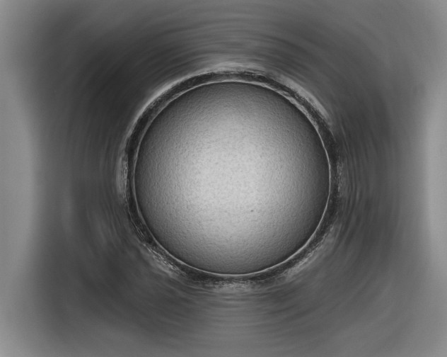 X0000116301021200912071244