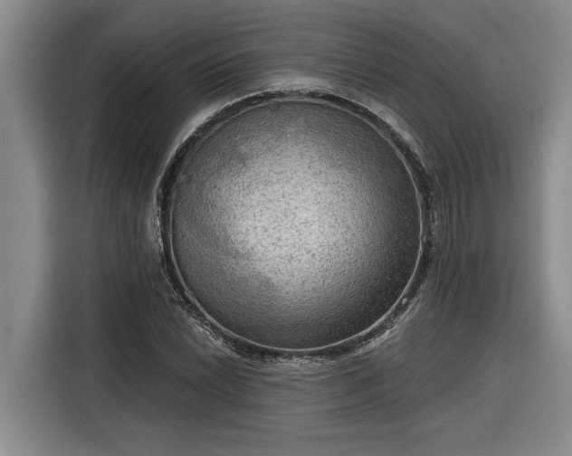 X0000116301022200912071244