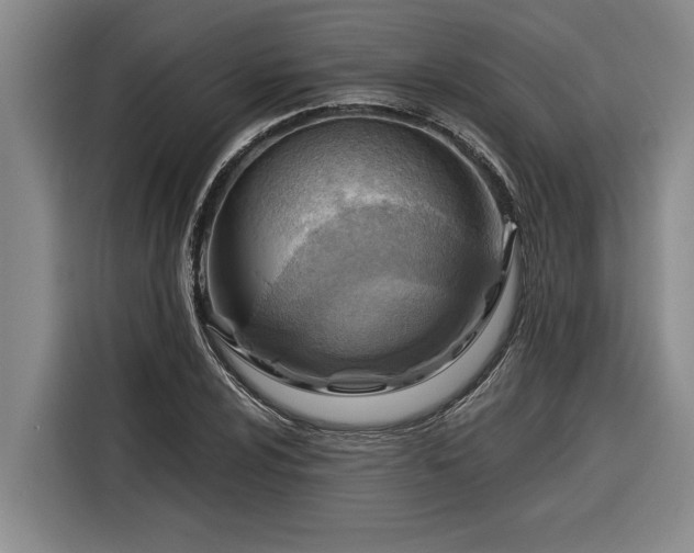 X0000116301024200912071244