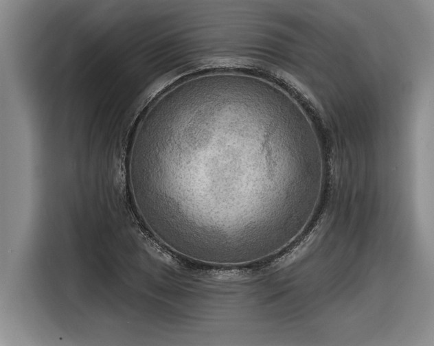 X0000116301025200912071244