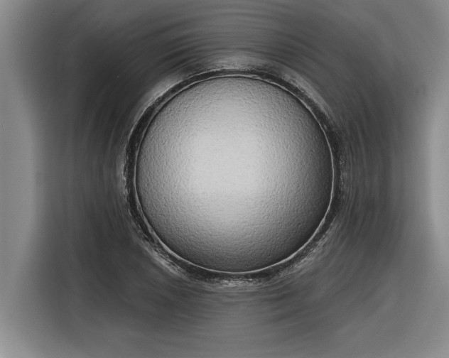 X0000116301026200912071244