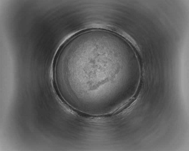 X0000116301028200912071244