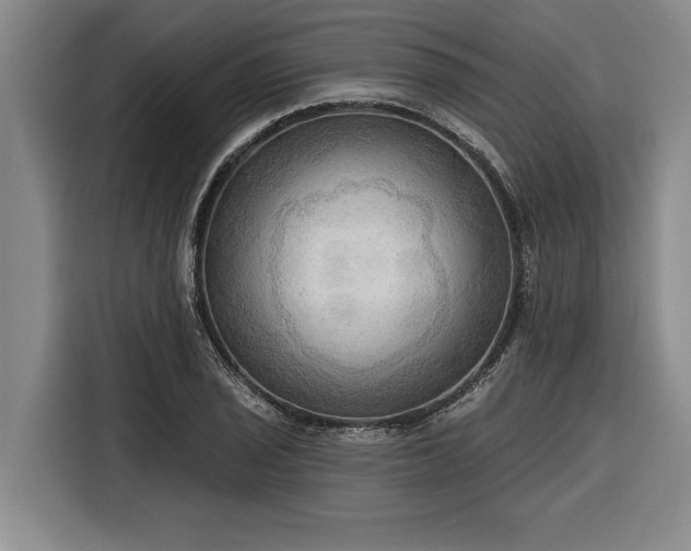 X0000116301029200912071244