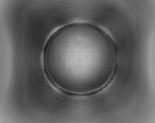 X0000116301030200912071244