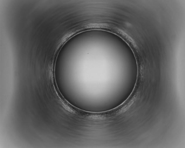 X0000116301033200912071244