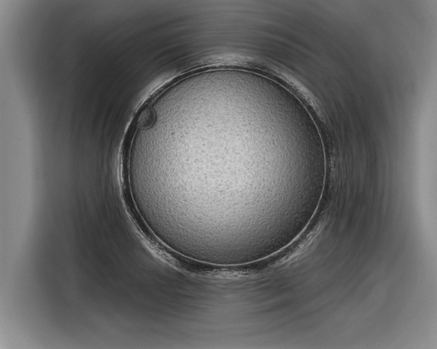 X0000116301034200912071244