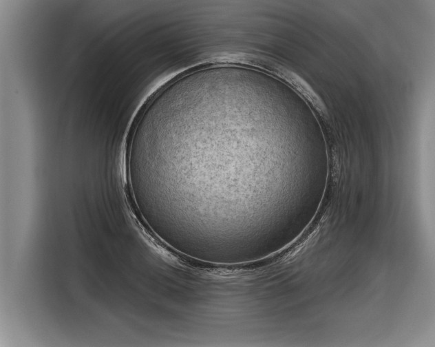 X0000116301036200912071244