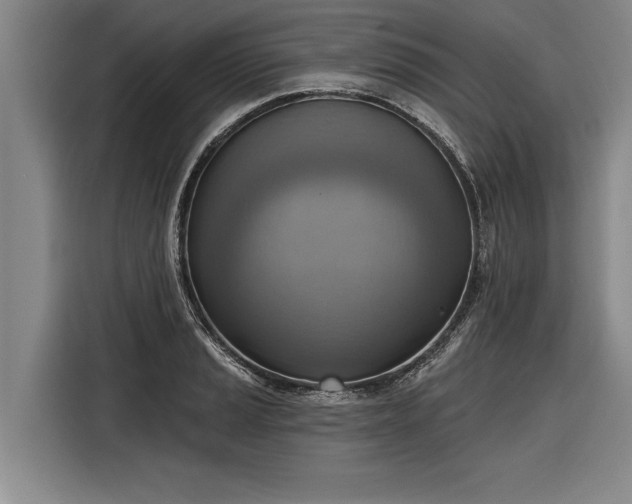 X0000116301037200912071244