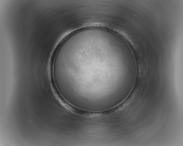 X0000116301038200912071244