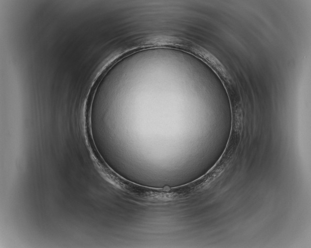 X0000116301039200912071244