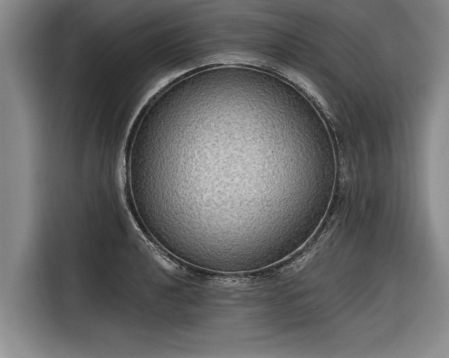 X0000116301040200912071244