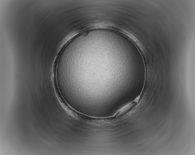 X0000116301042200912071244