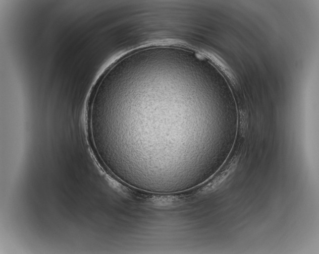 X0000116301046200912071244