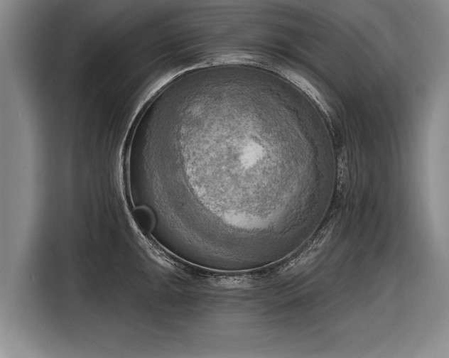 X0000116301047200912071244