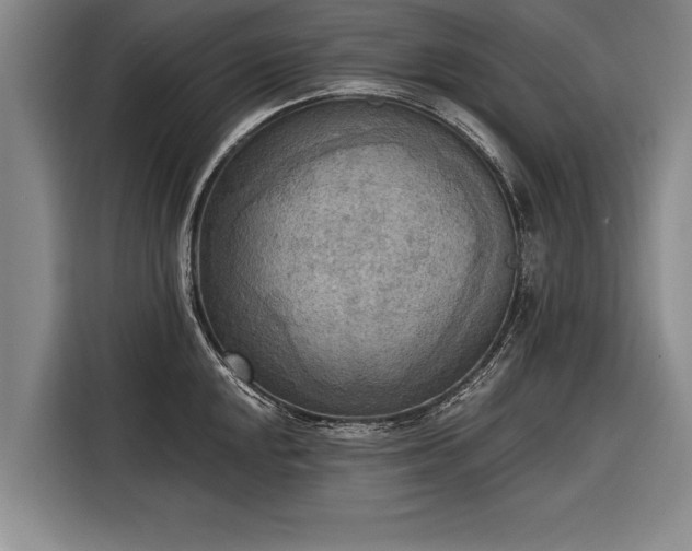 X0000116301048200912071244