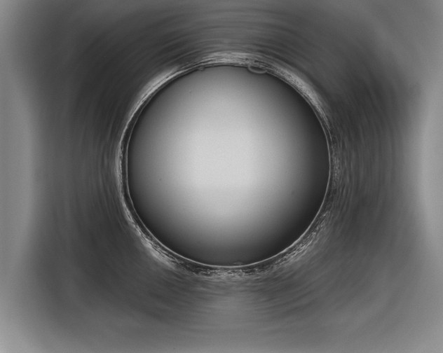 X0000116301050200912071244