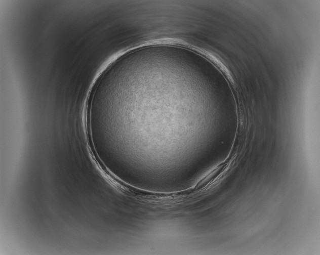 X0000116301054200912071244