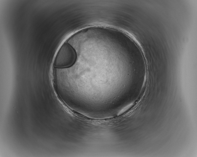 X0000116301056200912071244