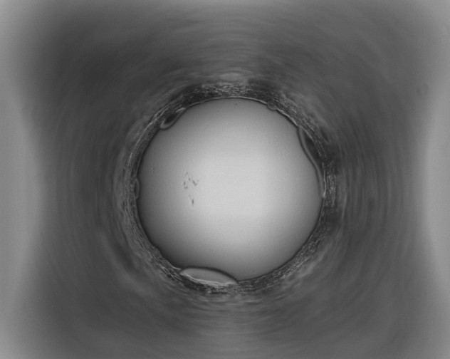 X0000116301057200912071244