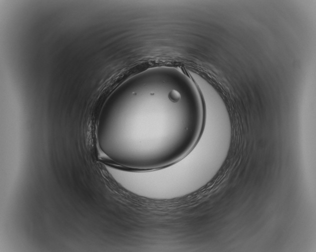 X0000116301060200912071244