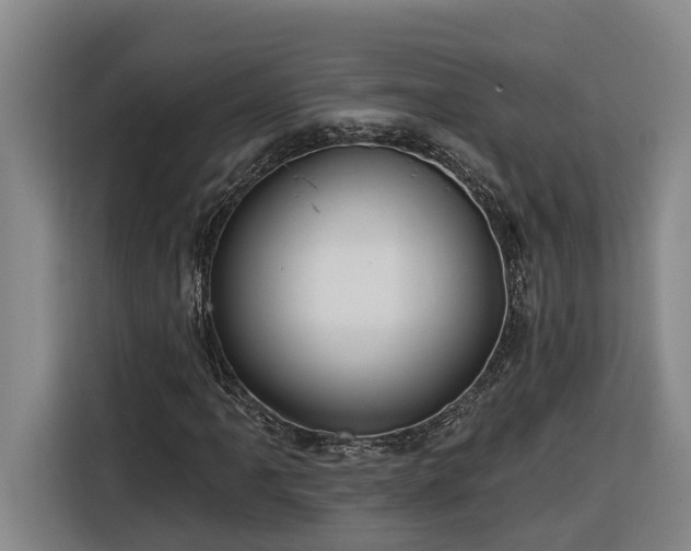 X0000116301061200912071244