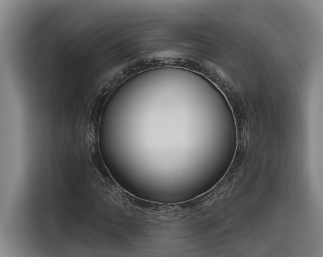 X0000116301062200912071244