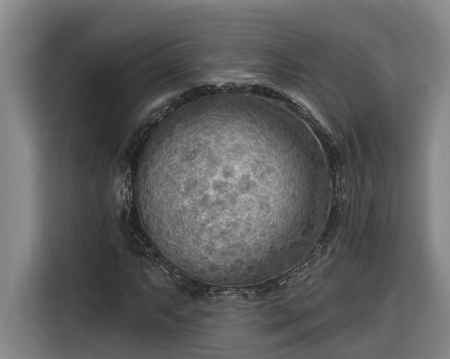 X0000116301063200912071244