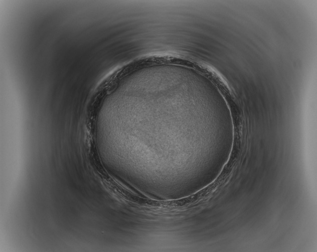 X0000116301064200912071244