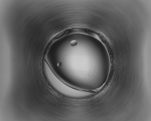 X0000116301065200912071244