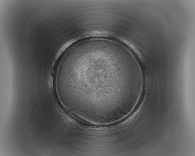 X0000116301066200912071244