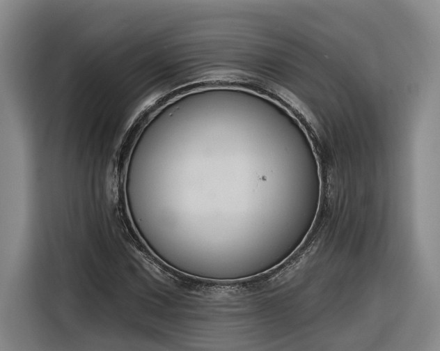 X0000116301067200912071244