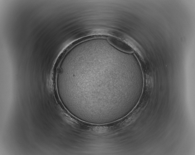 X0000116301068200912071244