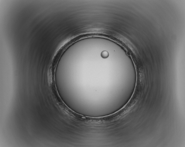 X0000116301069200912071244