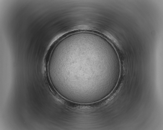 X0000116301070200912071244