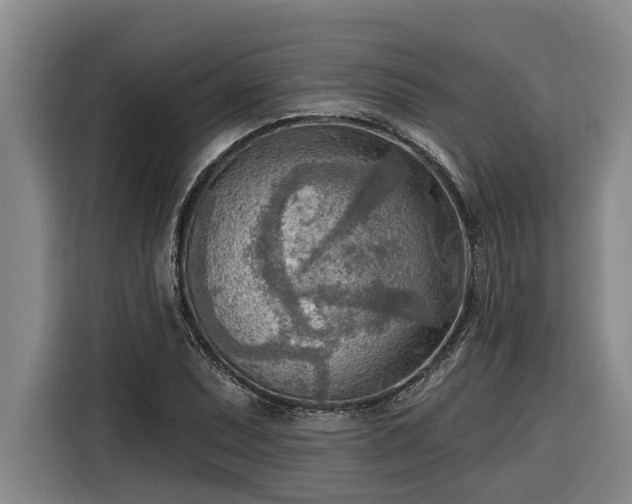 X0000116301071200912071244