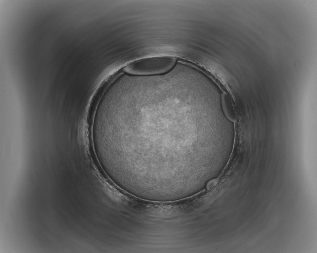 X0000116301072200912071244