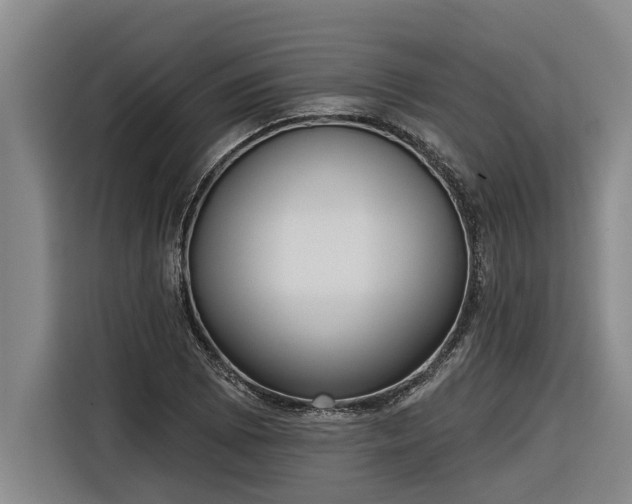 X0000116301073200912071244