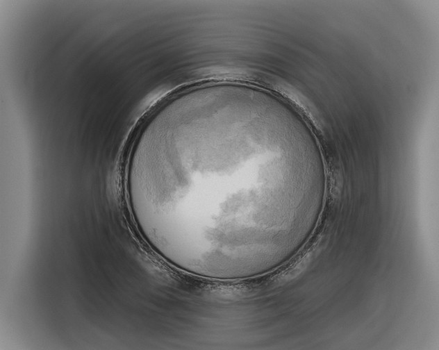 X0000116301074200912071244