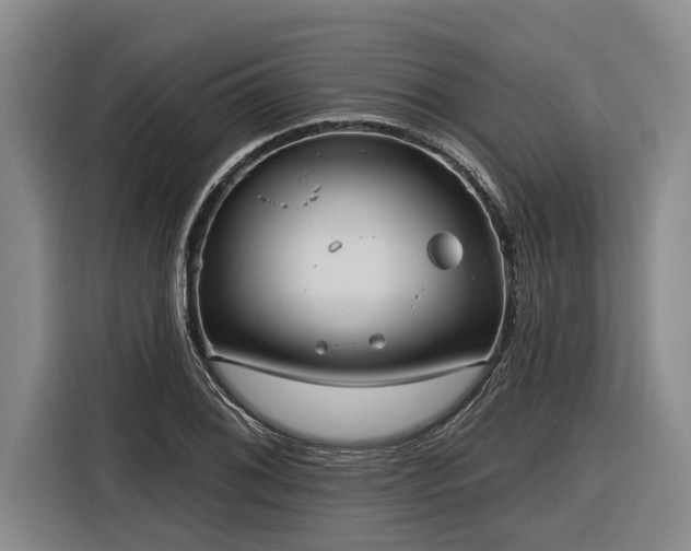 X0000116301076200912071244