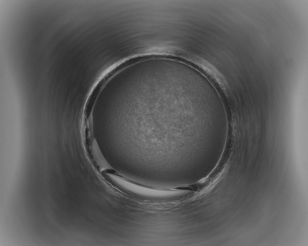 X0000116301077200912071244