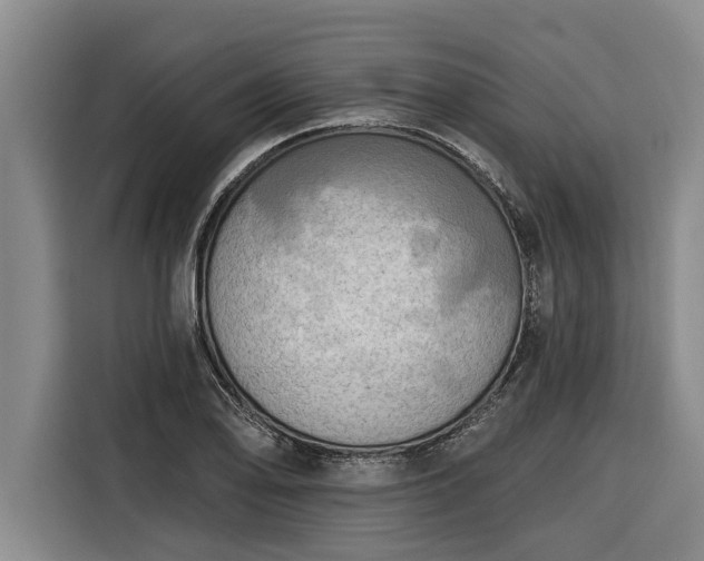 X0000116301078200912071244