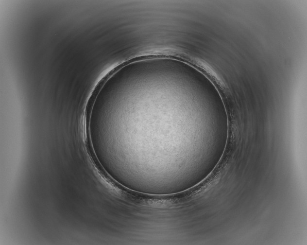 X0000116301079200912071244