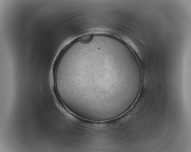 X0000116301080200912071244