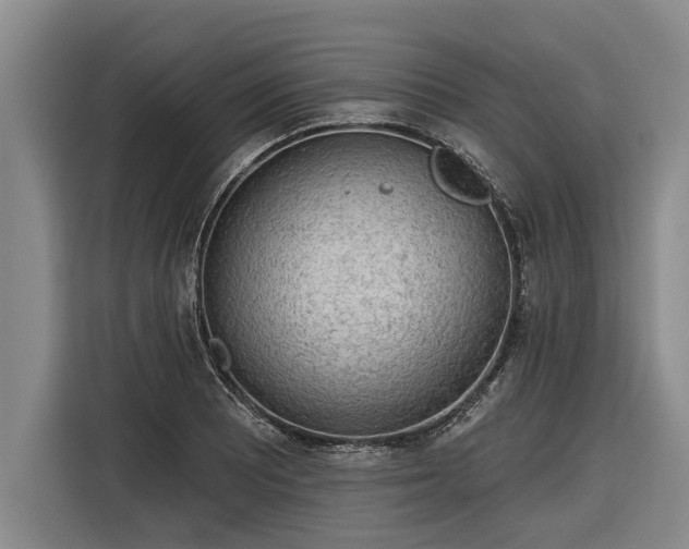 X0000116301081200912071244