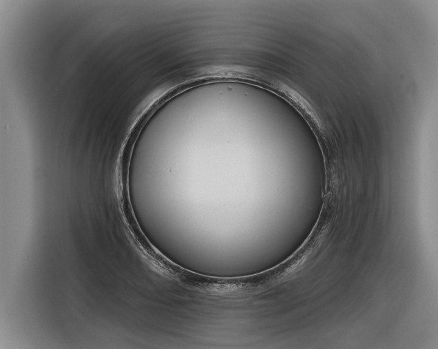 X0000116301082200912071244