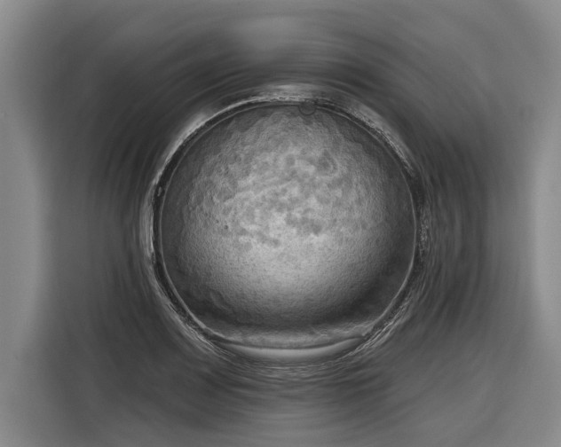 X0000116301083200912071244