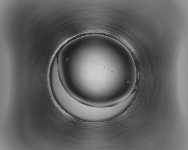 X0000116301084200912071244