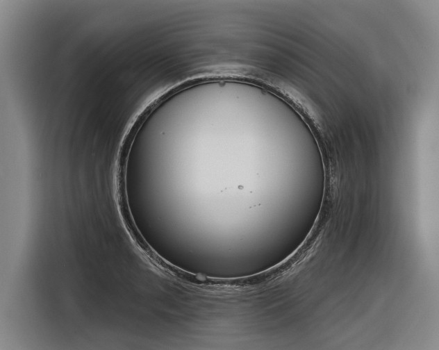 X0000116301085200912071243