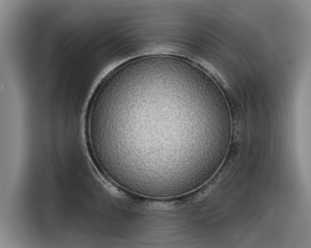 X0000116301086200912071243