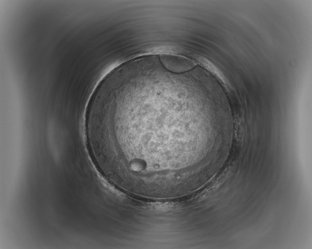 X0000116301087200912071243